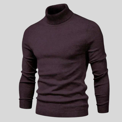 Ben Modischer Rollkragenpullover BF