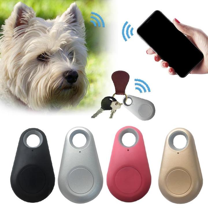 GPS-Tracker für Haustiere | Wasserdicht | Mini | Katzen-Tracker | Hunde-Tracker