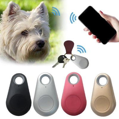 GPS-Tracker für Haustiere | Wasserdicht | Mini | Katzen-Tracker | Hunde-Tracker