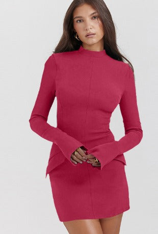 Minikleid - Hoher Ausschnitt - Lange Ärmel - Kleid mit Rollkragen - Elegantes Kleid