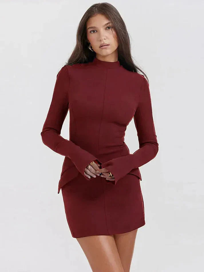 Minikleid - Hoher Ausschnitt - Lange Ärmel - Kleid mit Rollkragen - Elegantes Kleid