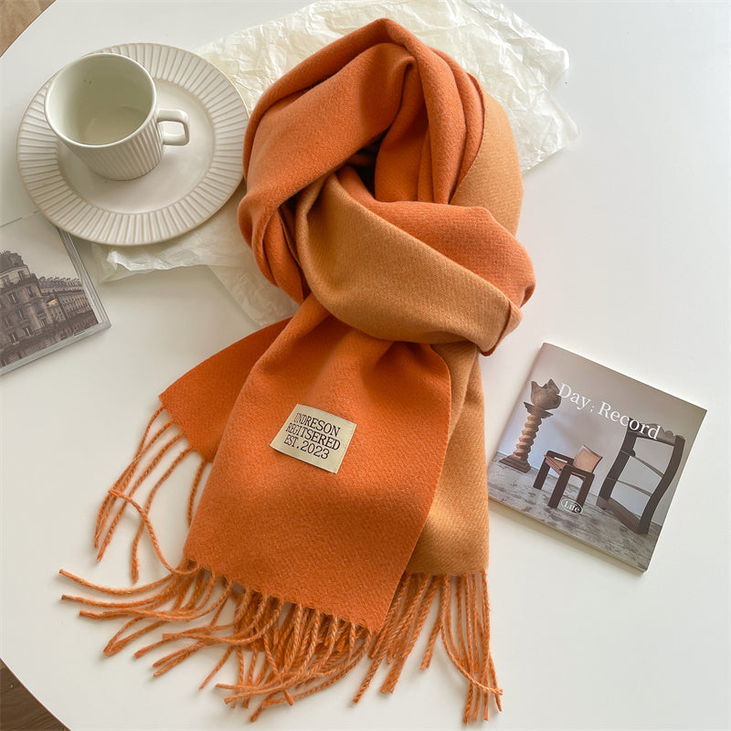 Pashmina-Schal – warm – doppelseitig – Winterschal – Damenschal