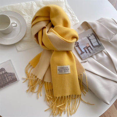 Pashmina-Schal – warm – doppelseitig – Winterschal – Damenschal