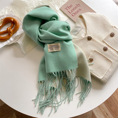 Pashmina-Schal – warm – doppelseitig – Winterschal – Damenschal