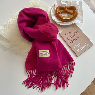 Pashmina-Schal – warm – doppelseitig – Winterschal – Damenschal