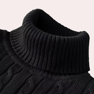 Rollkragenpullover | Dünn | Slim Fit | Strickpullover | Herrenbekleidung