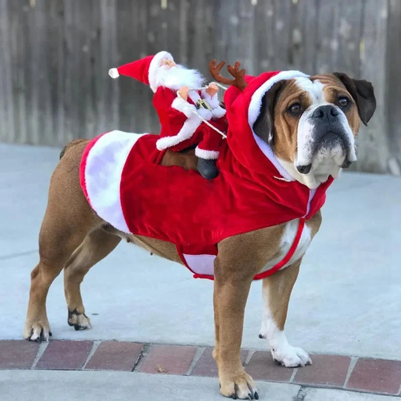 Weihnachtsoutfit für Hunde – rote Weihnachtsmann-Pullover für Hunde