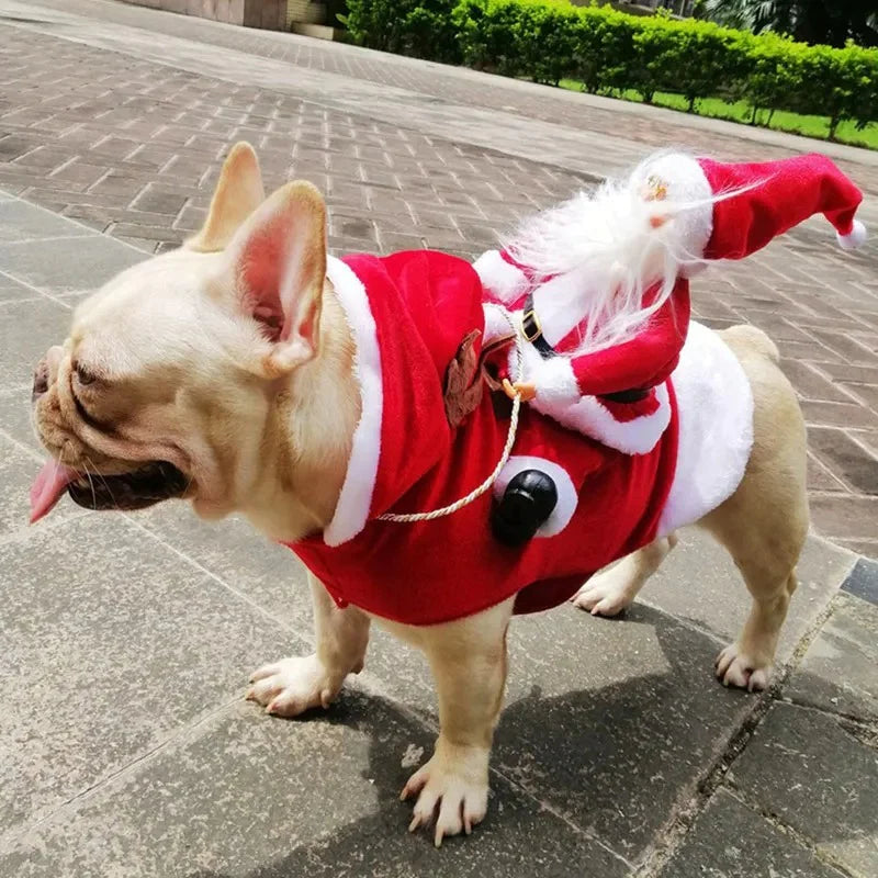 Weihnachtsoutfit für Hunde – rote Weihnachtsmann-Pullover für Hunde